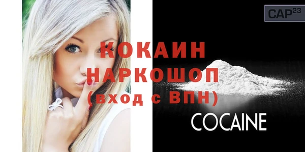 крисы Баксан