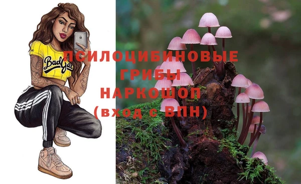 крисы Баксан