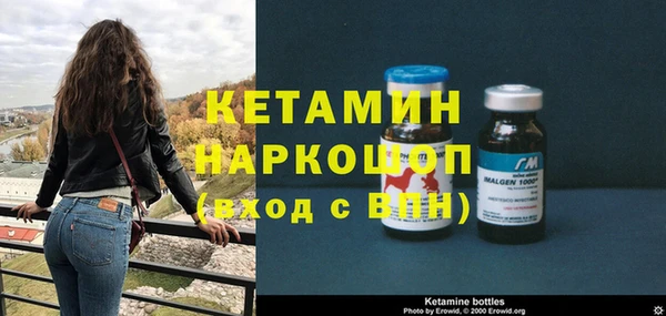 крисы Баксан