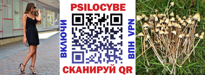 МЕГА как зайти  Вольск  Псилоцибиновые грибы Cubensis 
